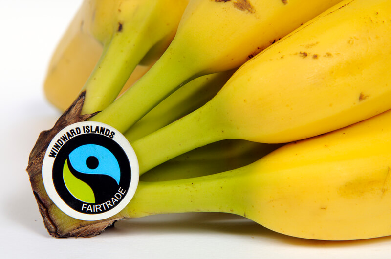 fairtrade versus fairchain