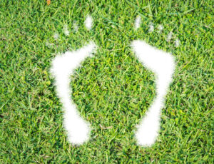 ecologische voetafdruk te verkleinen