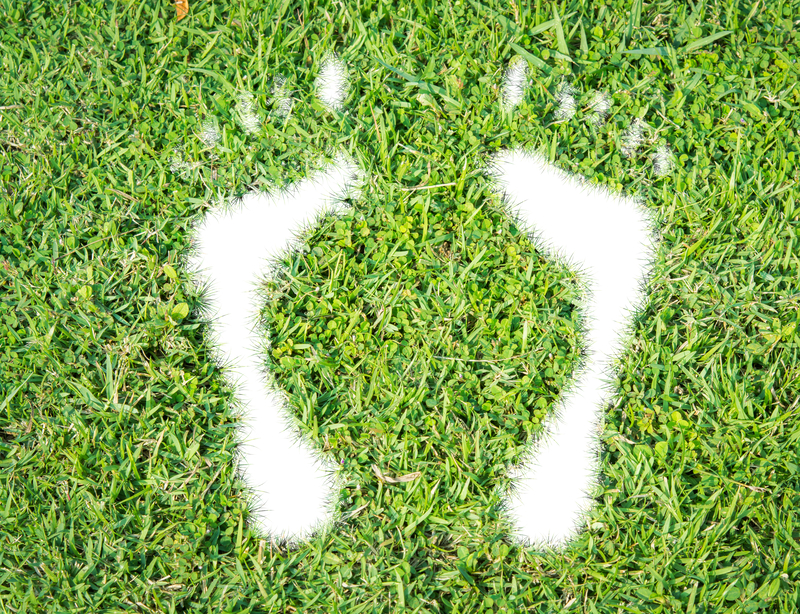 ecologische voetafdruk te verkleinen