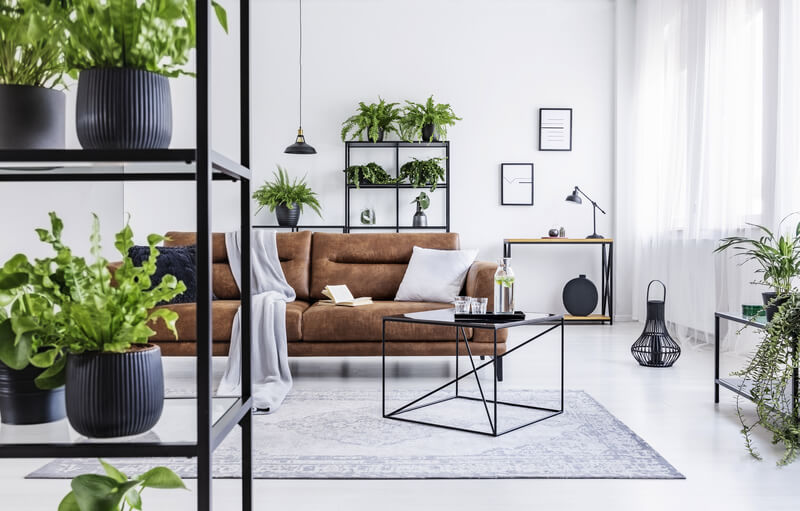 groen interieur