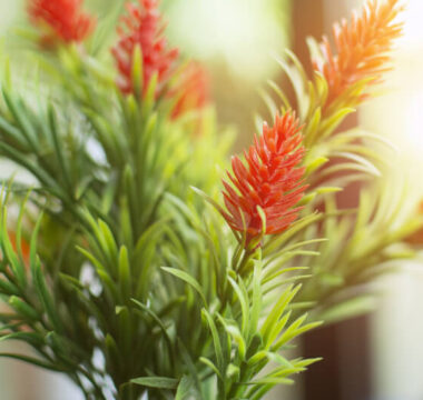kunstplanten