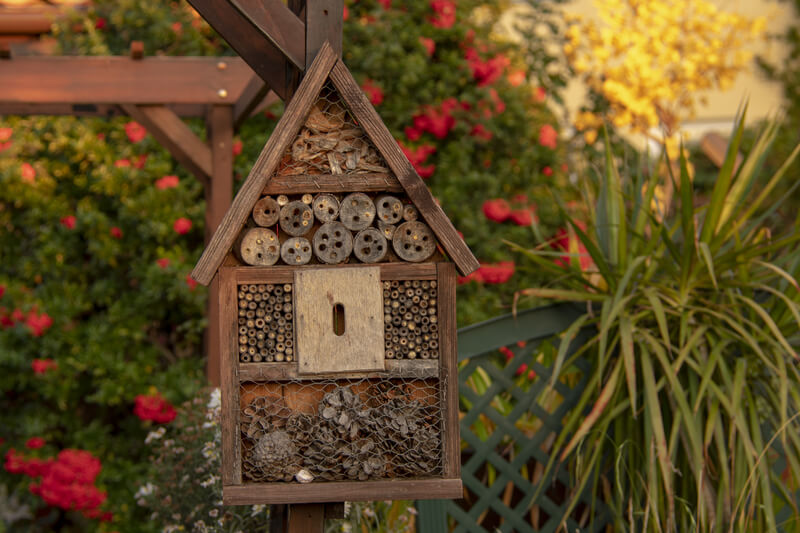 insectenhotel bouwen