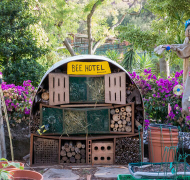 maak een insectenhotel