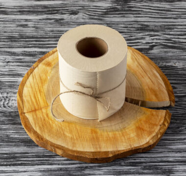 bamboe toilet papier