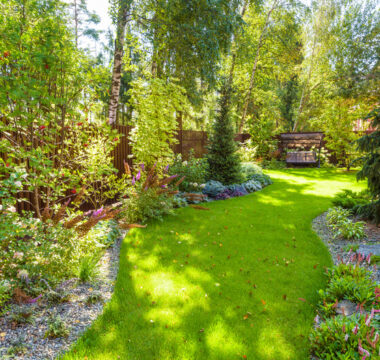 groene tuin