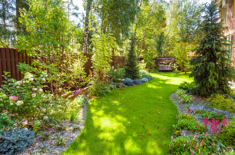 groene tuin